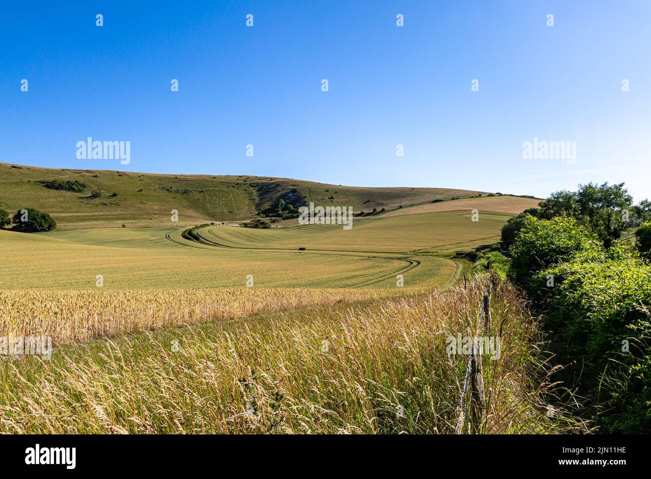 Guardando fuori sopra i terreni agricoli verso il Long Man of Wilmington, in una giornata estiva soleggiata Foto Stock