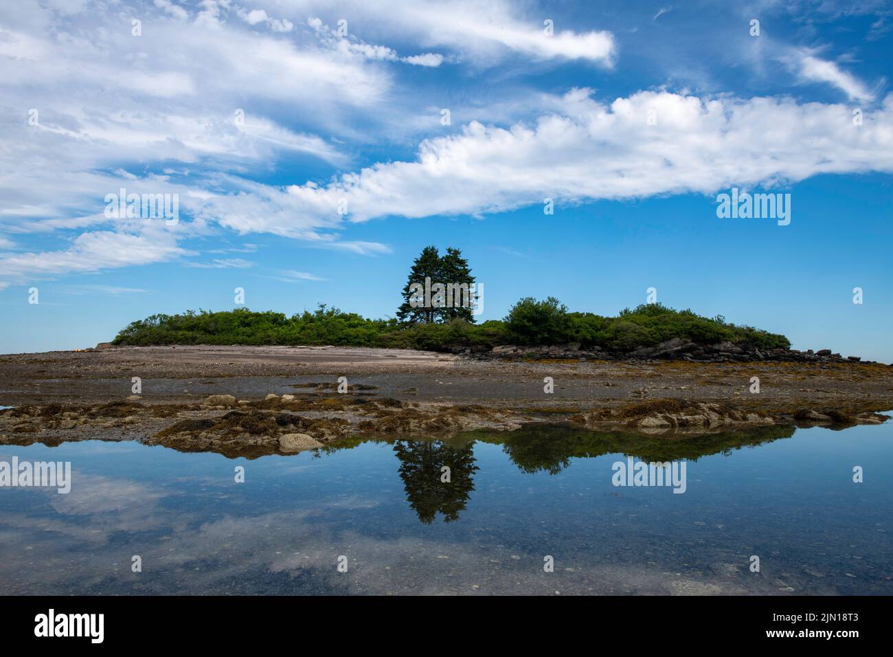 Luglio 3, 2022. Barnes Island a bassa marea. Foto Stock