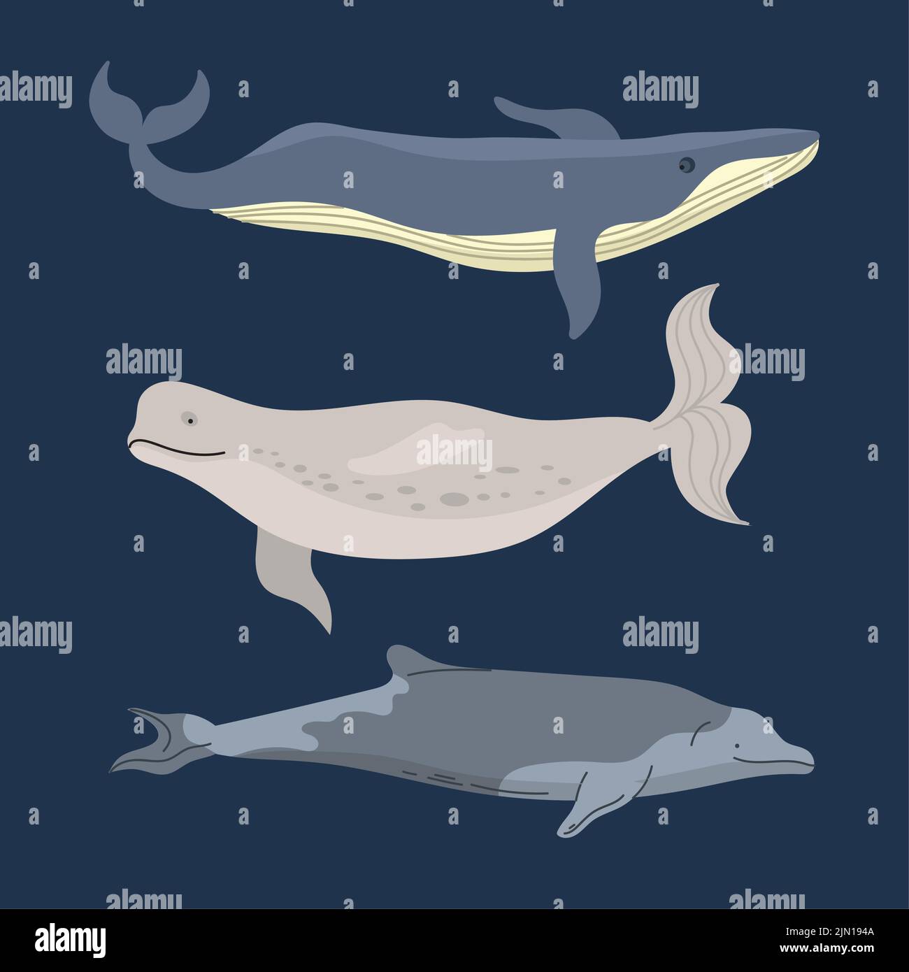 balene sealife tre icone animali Illustrazione Vettoriale