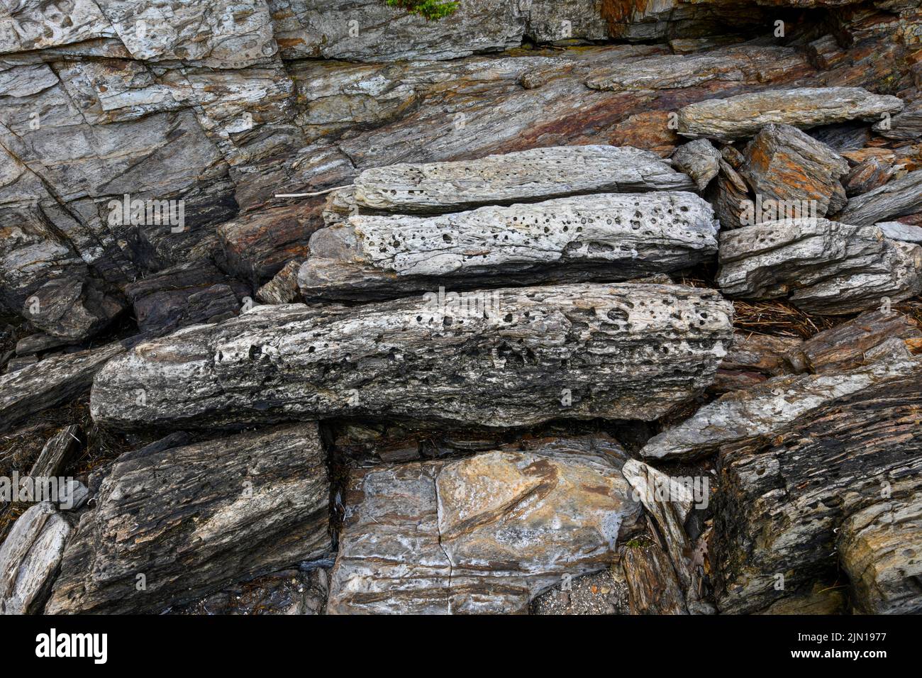 Luglio 10, 2022. 6:11pm. Rocce con bassa marea sull'isola di Barnes. Baia di casco. Maine. Serie Tide. Immagine 1 su 2. Foto Stock