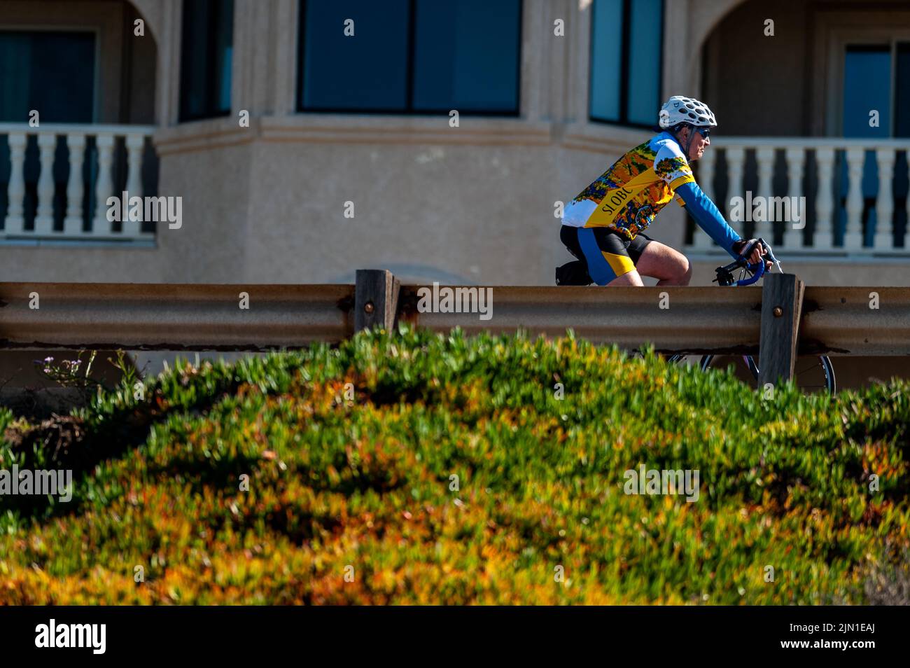 Immagine di un uomo maturo durante il suo giro mattutino in bicicletta. San Francisco, California, West Coast, salute, benessere, Esercizio Foto Stock