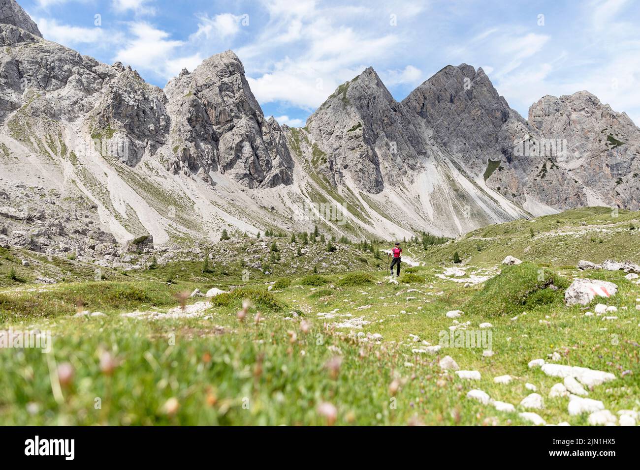Donna escursionista su un bellissimo prato alpino su un sentiero per il Karlsbader Hütte e il lago Laserzsee nelle Dolomiti di Lienz, Tirolo orientale, Austria Foto Stock