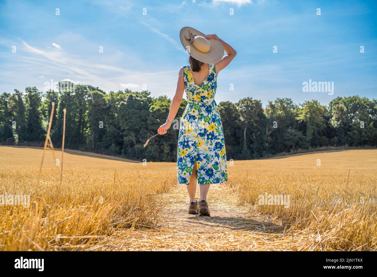 Kidderminster, Regno Unito. 8th Agosto 2022. Tempo del Regno Unito: Con le temperature alle stelle e il calore ondeggiante in tutto il Regno Unito oggi, l'unico modo per ottenere un po' di ombra in più sembra essere sotto la copertura di un cappello di paglia a bordo largo se si desidera uscire per una passeggiata nel paese! Con il tempo buono come questo, Miss T, un insegnante del Worcestershire, sta godendo completamente la sua staycation di estate! Credit: Lee Hudson/Alamy Live News Foto Stock