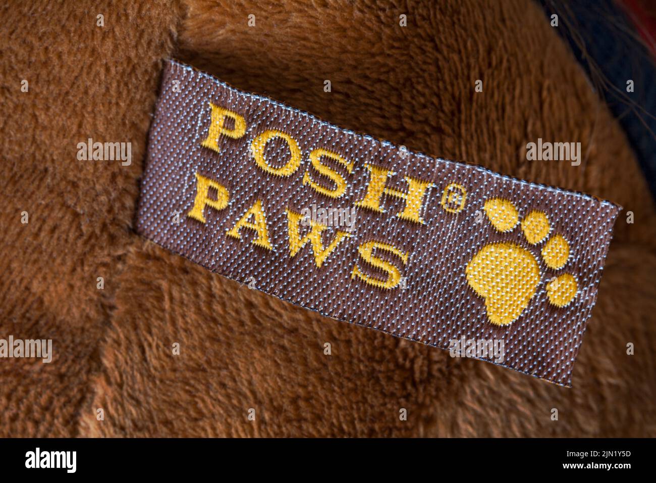 Etichetta Posh Paws su un giocattolo morbido e coccoloso Foto Stock