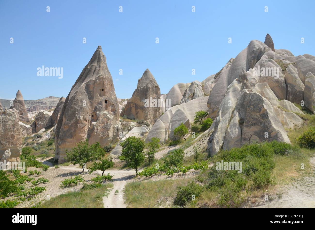 piante e belle formazioni rocciose nella 'valle delle spade' cappadocia, turchia Foto Stock