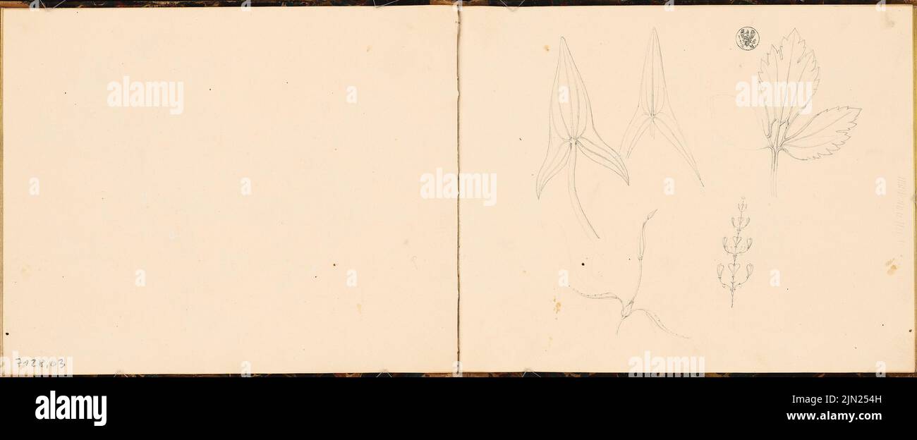 Bull Gustav (1807-1880), schedario: Ornamenti vegetali, alcuni schizzi da costruzione (senza dat.): Dettagli delle foglie. Matita su carta, 21 x 51,1 cm (inclusi i bordi di scansione) Foto Stock