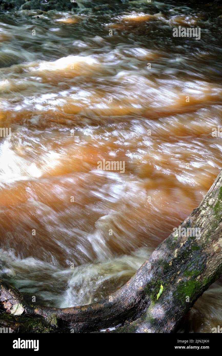Rapide sul fiume Vizla, Vireshi, Vidzeme, Lettonia Foto Stock
