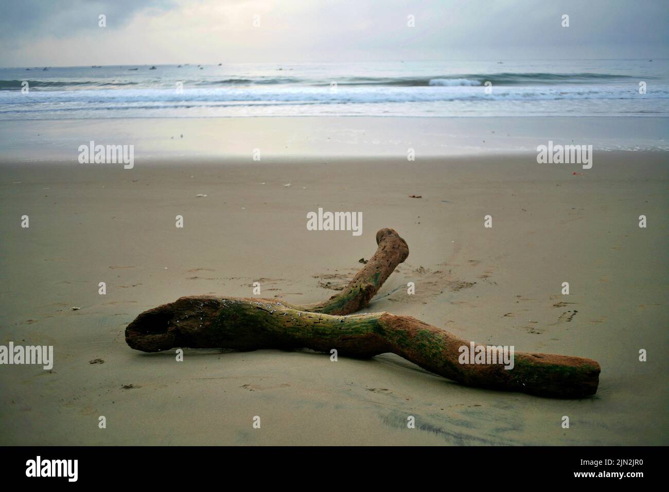 Registro caduti sulla spiaggia Foto Stock