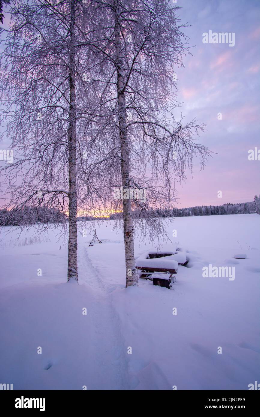 Alba in Finlandia Inverno Foto Stock