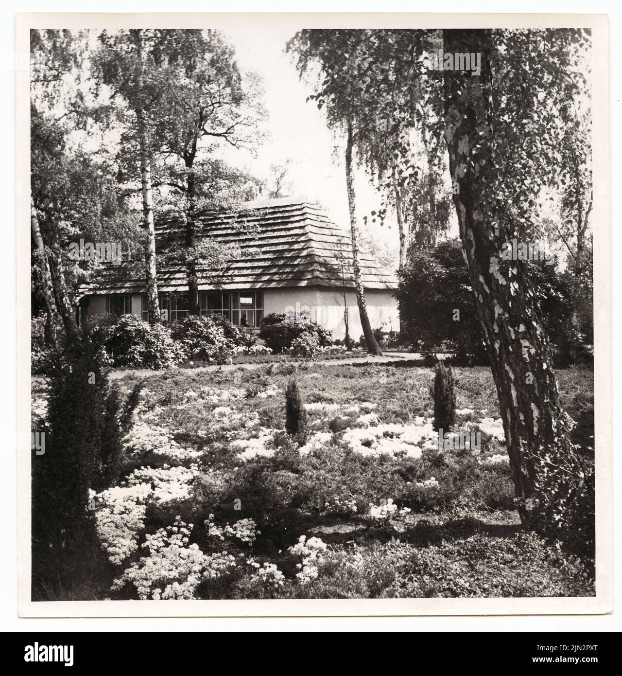 N.N.: 1st Federal Garden Show 1951, Hannover Foto Stock