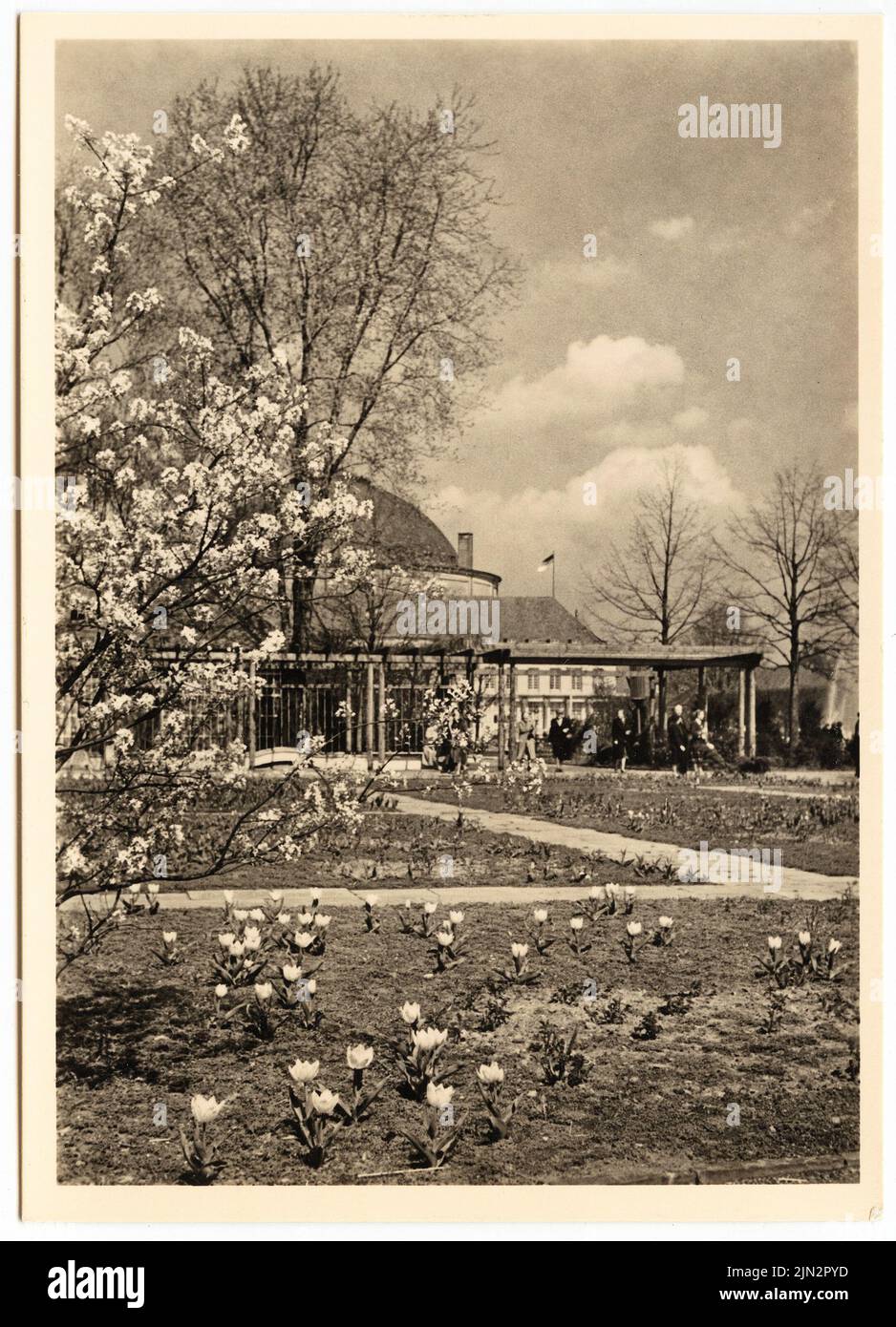 N.N.: 1st Federal Garden Show 1951, Hannover Foto Stock