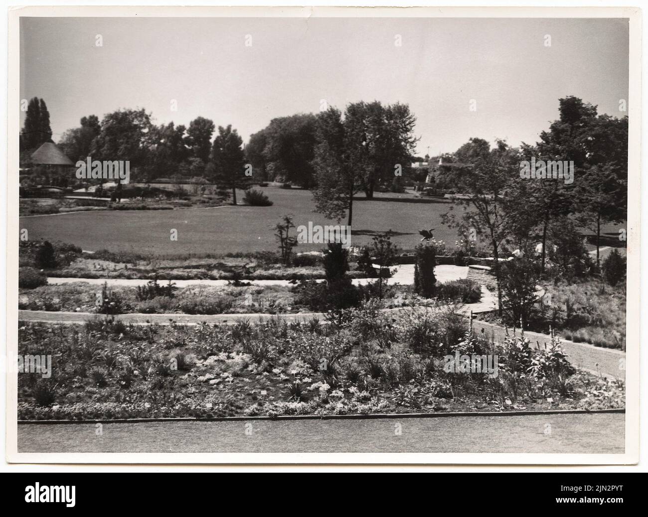 N.N.: 1st Federal Garden Show 1951, Hannover Foto Stock