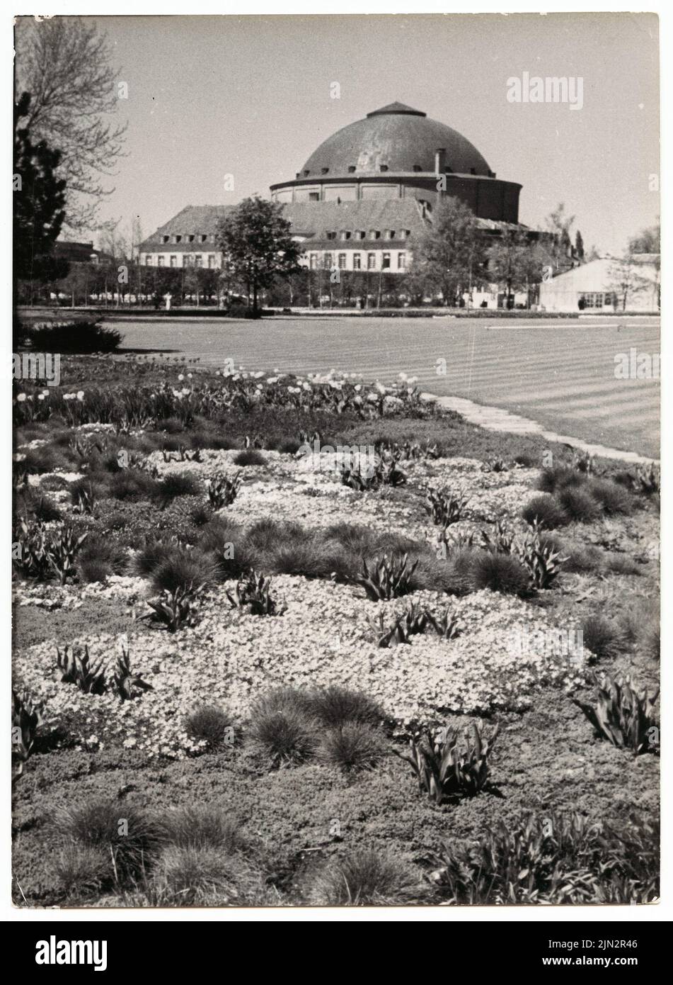 N.N.: 1st Federal Garden Show 1951, Hannover Foto Stock
