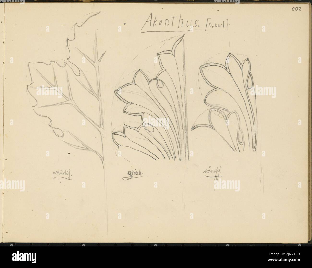 Sketchbook 2: Studi ornamentali, Akanthus, dettaglio, naturalistico, greco e romano Foto Stock