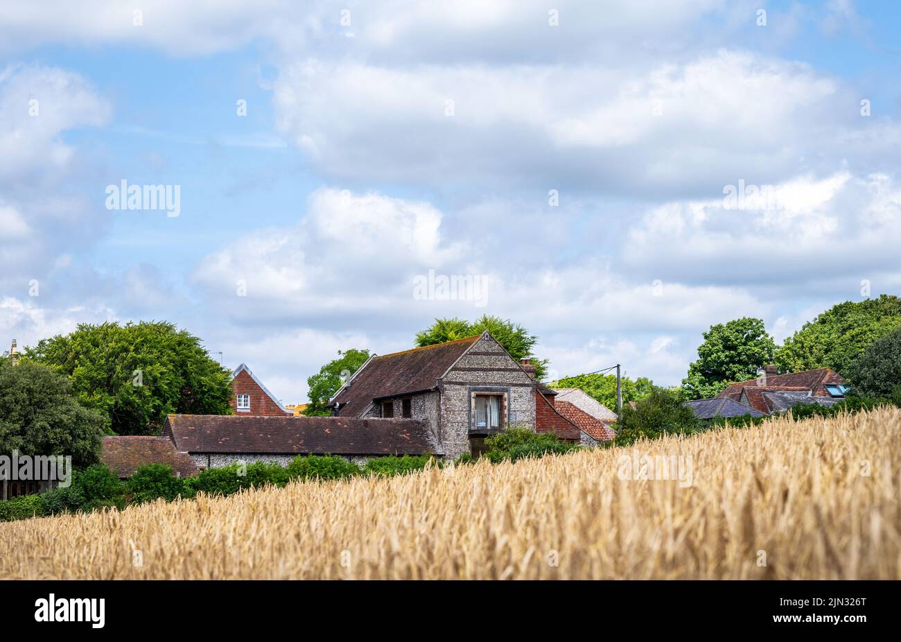 Frazione di Bishopstone nel South Downs National Park, East Sussex, Inghilterra Foto Stock