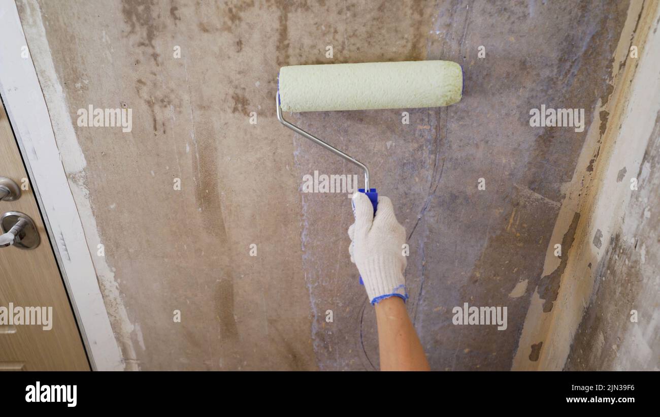 Il processo di applicazione di un primer su una parete mediante un rullo. Applicare colla con un rullo sulla parete sotto il soffitto. Foto Stock