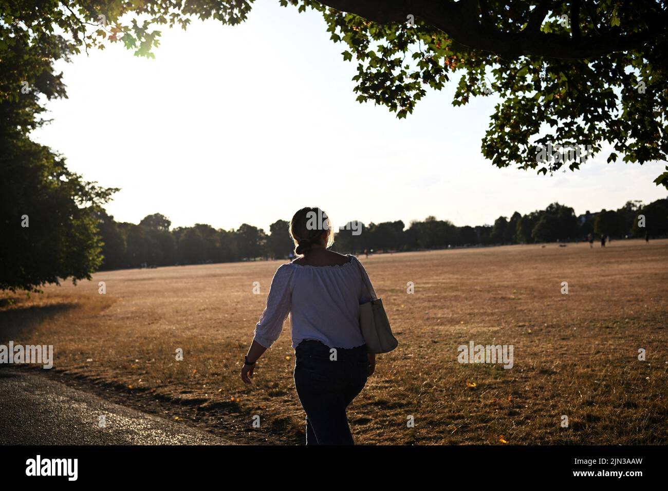 Una donna cammina mentre il sole tramonta su Clapham Common, dopo un lungo periodo di tempo caldo e piogge poco, a Londra, Gran Bretagna, 8 agosto 2022. REUTERS/Dylan Martinez Foto Stock