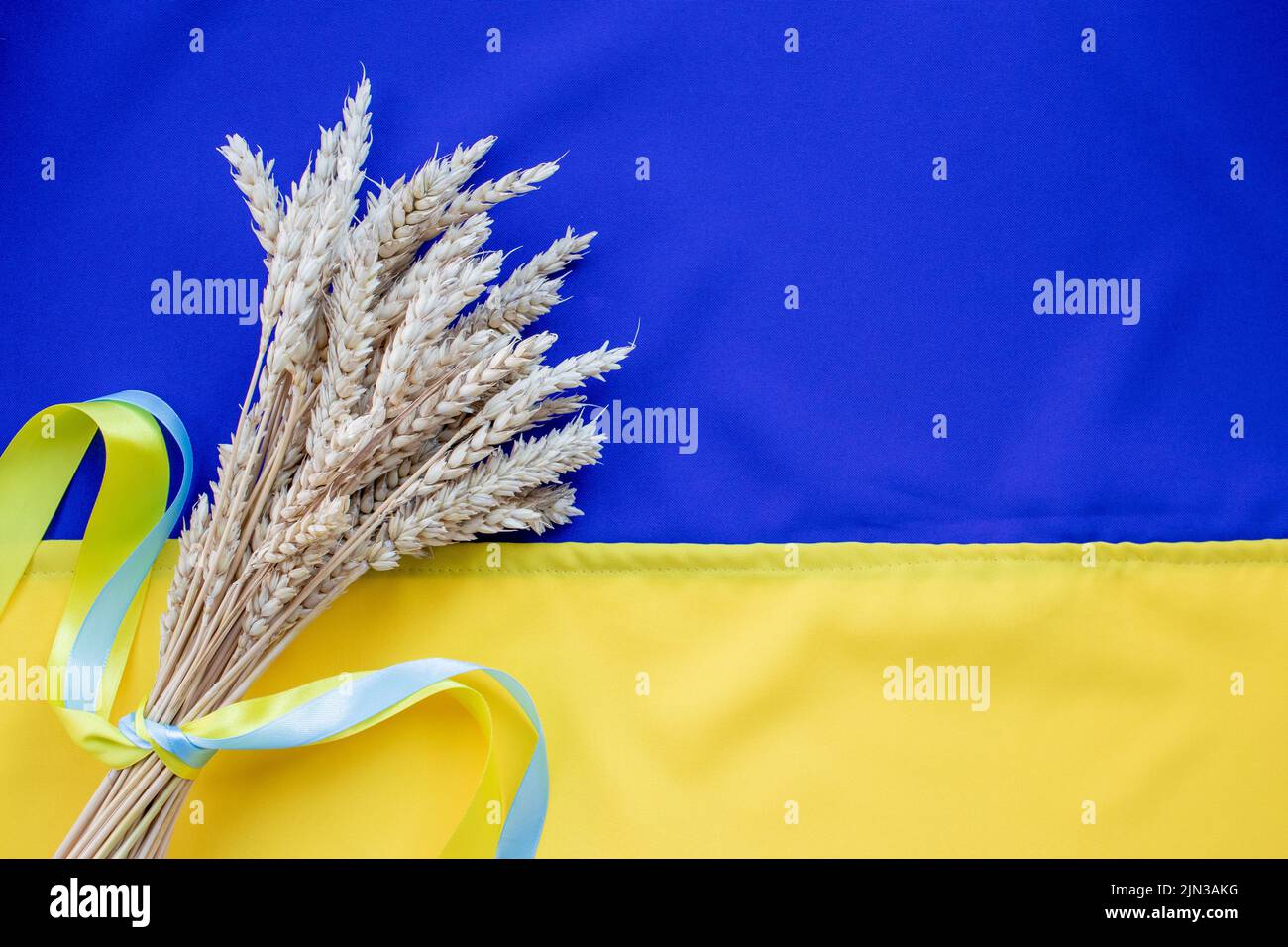Bouquet di spighe di grano dorato legato con un nastro giallo e blu sulla bandiera di sfondo Ucraina. Giorno dell'indipendenza dell'Ucraina, giorno della Costituzione, FLA Foto Stock