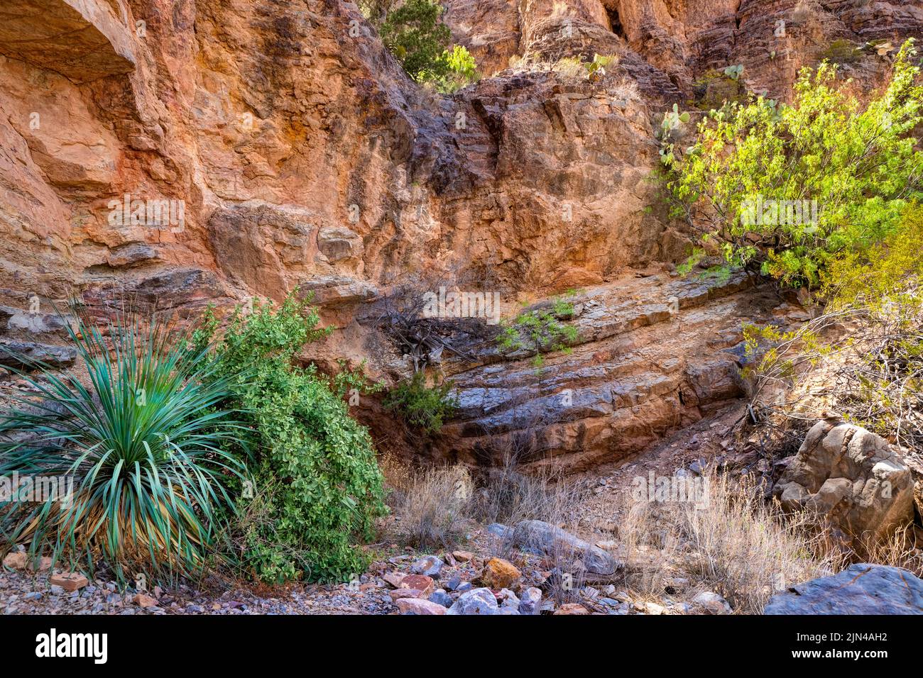 Leasburg (Las Cruces) slot Canyon, New Mexico, USA Foto Stock