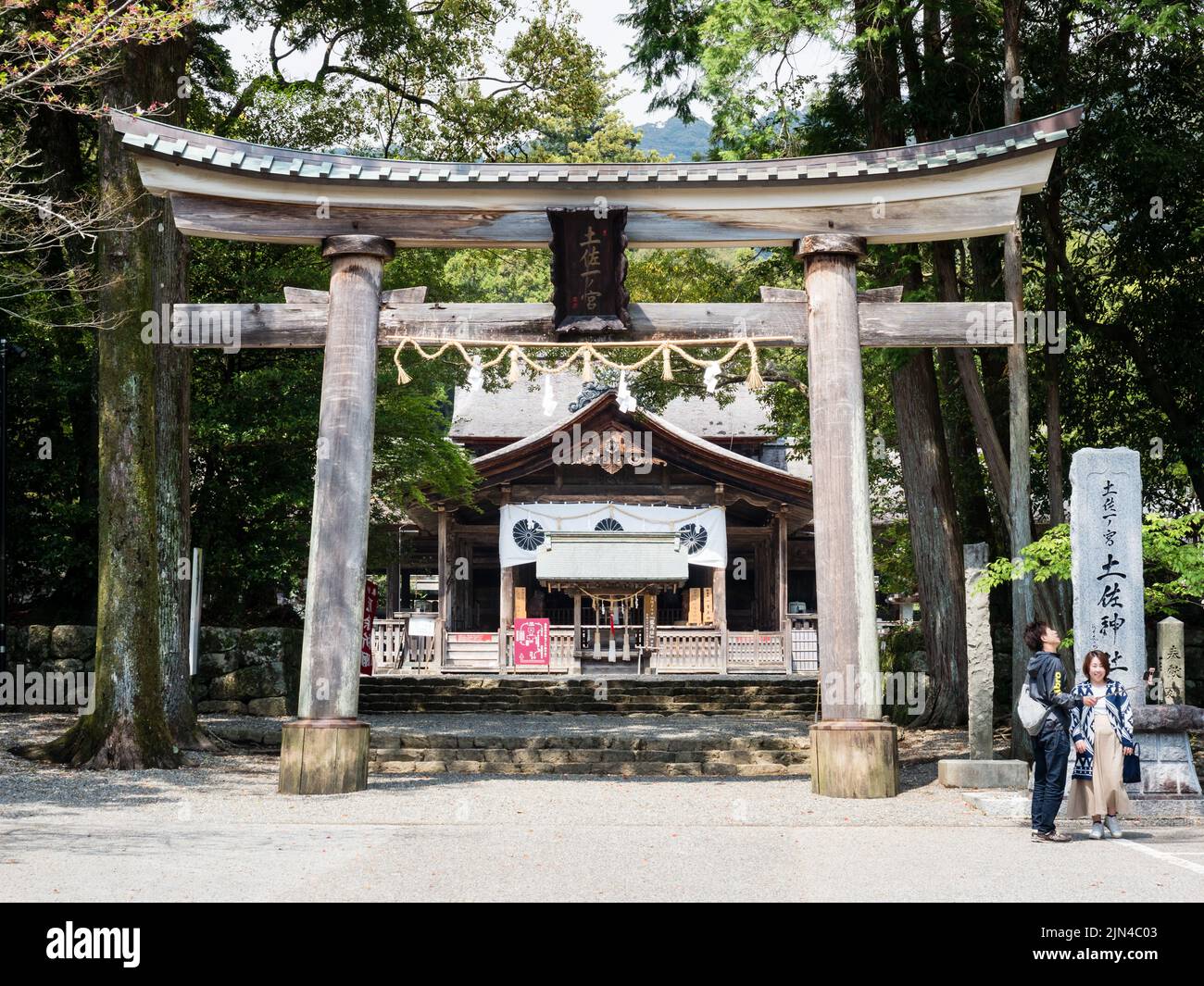 Kochi, Giappone - 6 aprile 2018: Porta torii all'ingresso dello storico santuario di Tosa Foto Stock