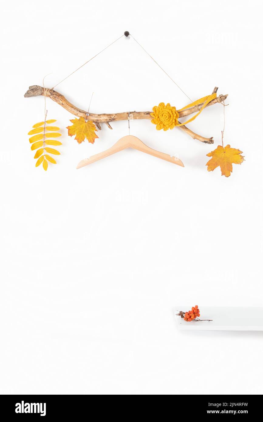 Un appendiabiti su un bastone di legno spesso con foglie di colore giallo paglierino e ripiano su sfondo bianco. Concept Season in vendita autunno o Eco-friendly Homes. Vista frontale M Foto Stock