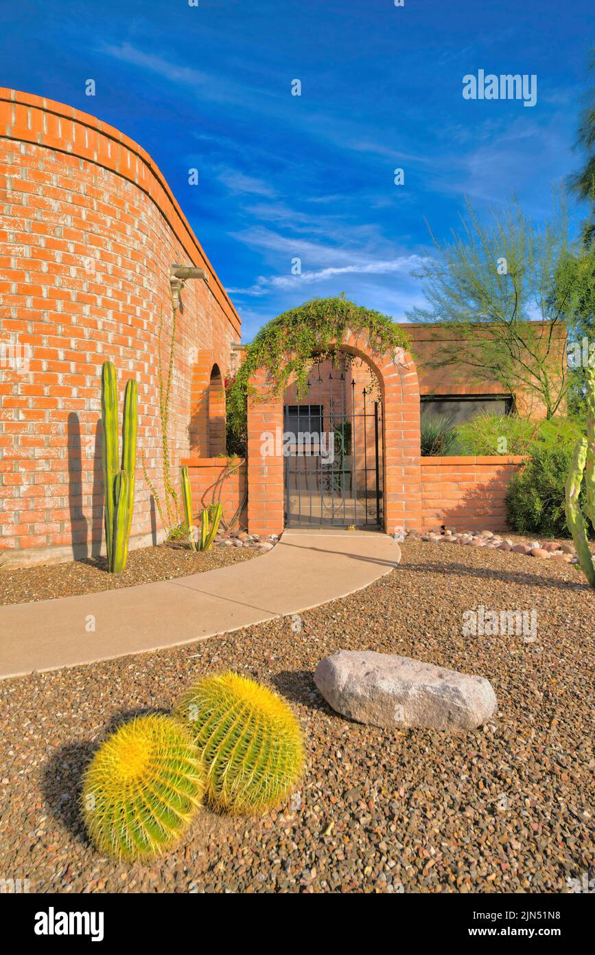 Ingresso di una casa con muro di mattoni cavi a Tucson, Arizona. Ci sono cactus rotondi ed alti vicino al percorso concreto sulla parte anteriore che conduce al th Foto Stock