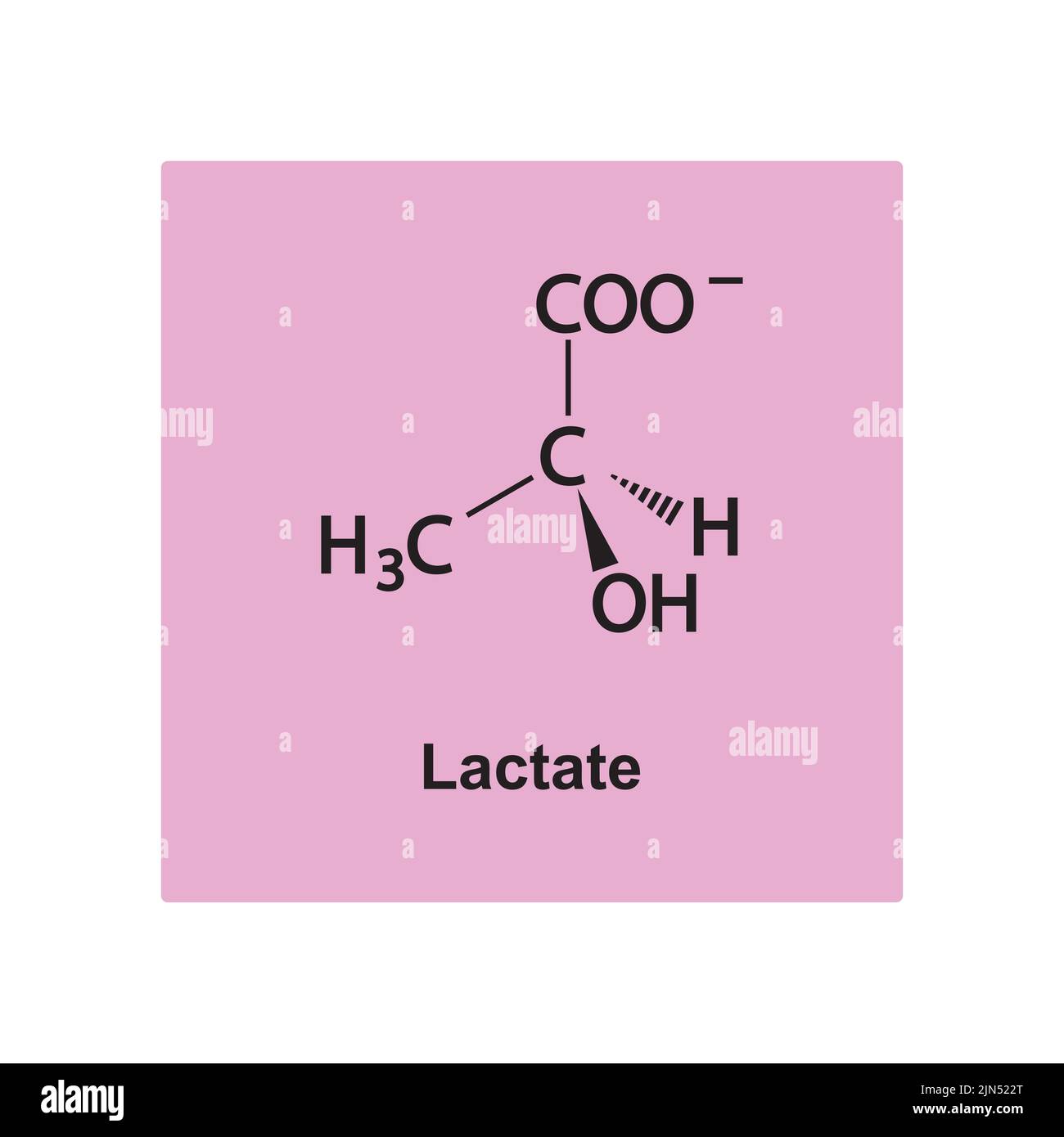 Struttura chimica del lattato su sfondo rosa. Illustrazione Vettoriale