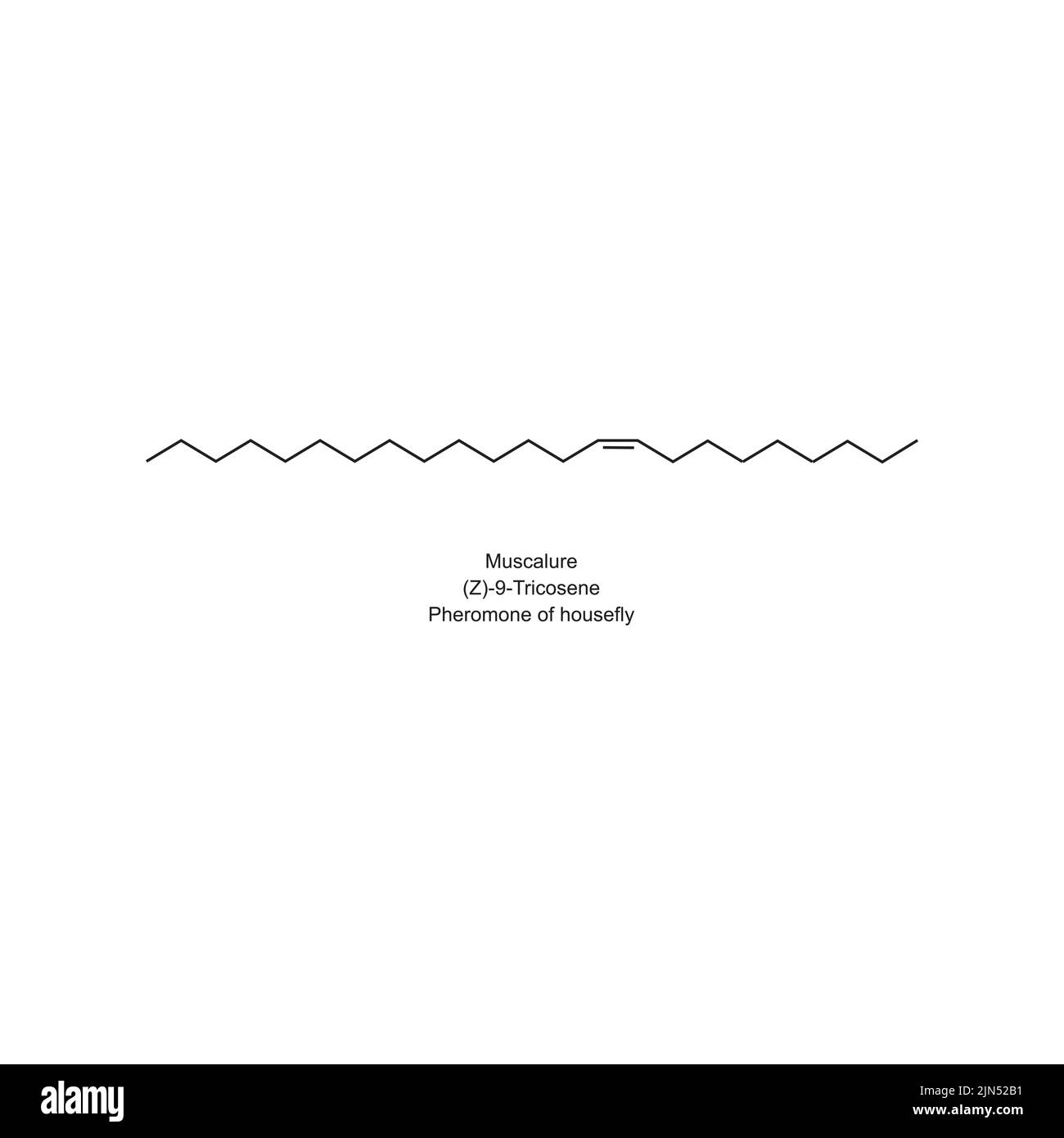 Struttura chimica di Muscalure - housefly feromone - su sfondo bianco. Illustrazione Vettoriale