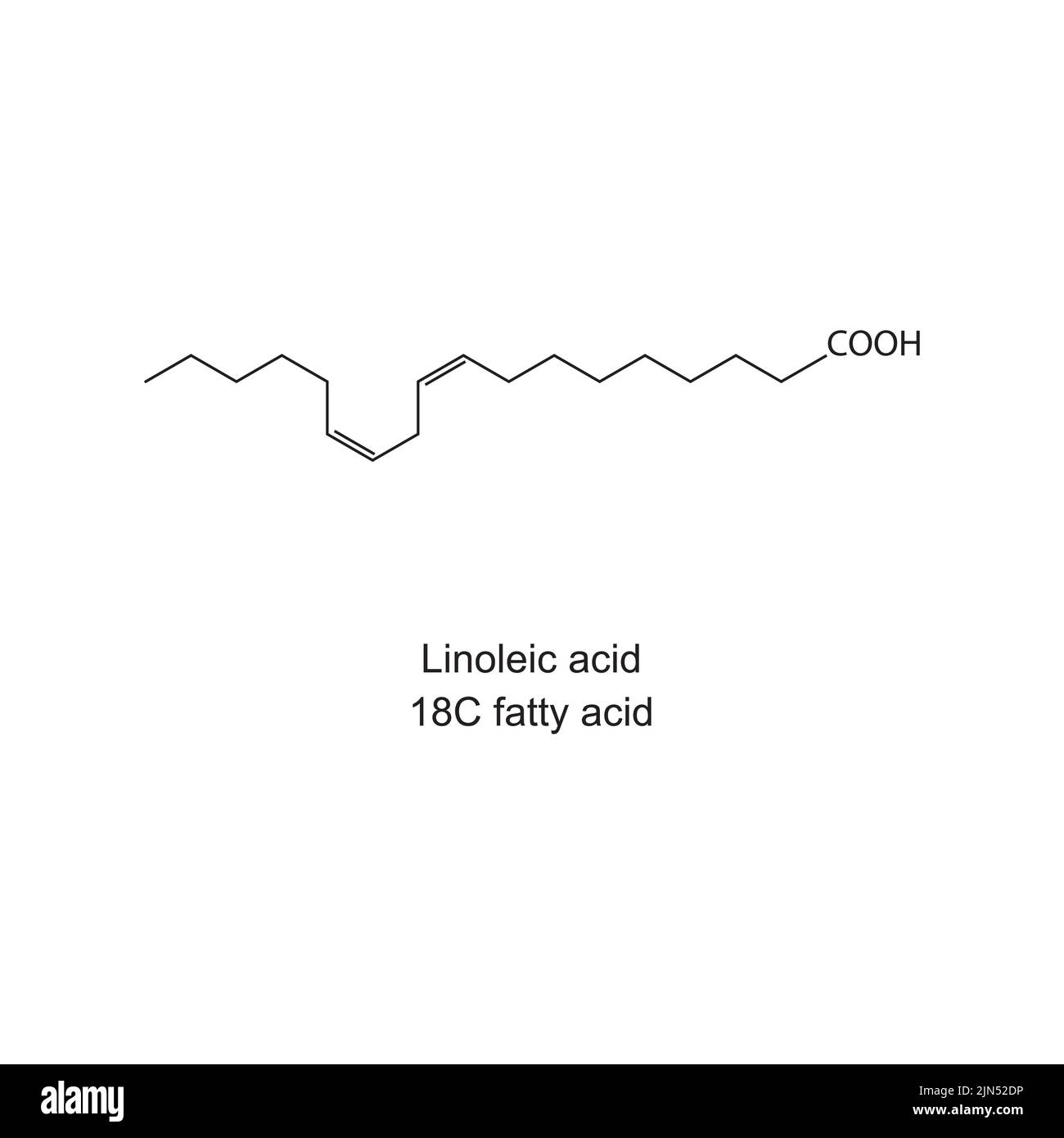 Struttura chimica dell'acido linoleico (acido grasso al carbonio 18) su sfondo bianco. Illustrazione Vettoriale