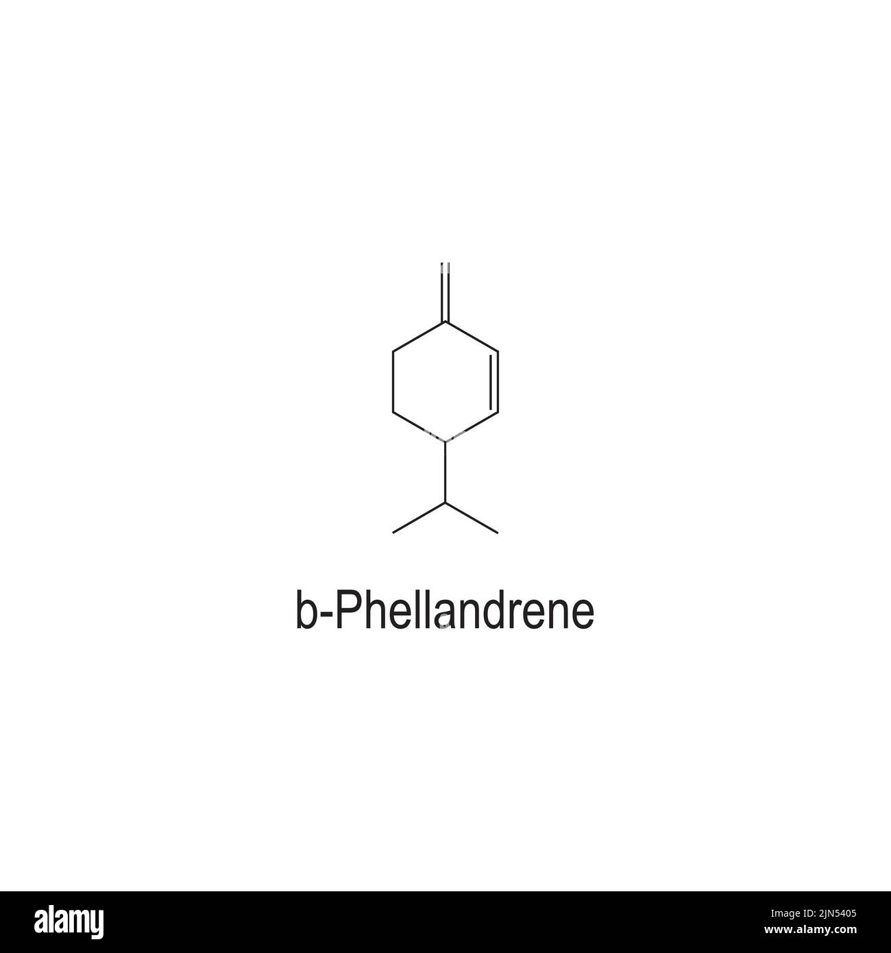 b-Fellandrene (alchene) struttura chimica su fondo bianco - componente dell'olio di ecalipto. Illustrazione Vettoriale