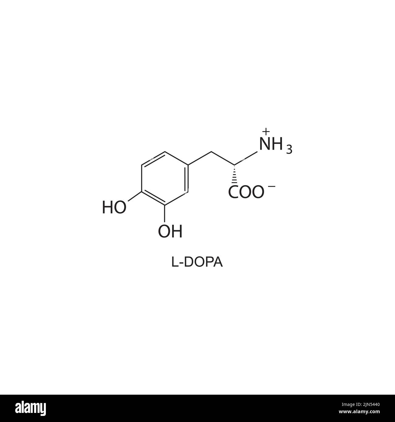 L-DOPA struttura chimica su sfondo bianco. Illustrazione Vettoriale