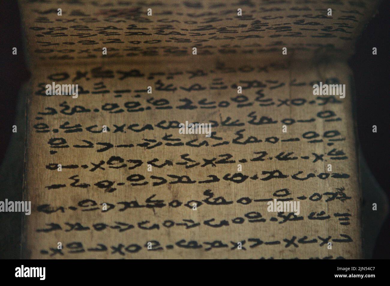 Cuneiforme scritto su corteccia di albero presso la Biblioteca Nazionale di Giacarta, Indonesia. Foto Stock