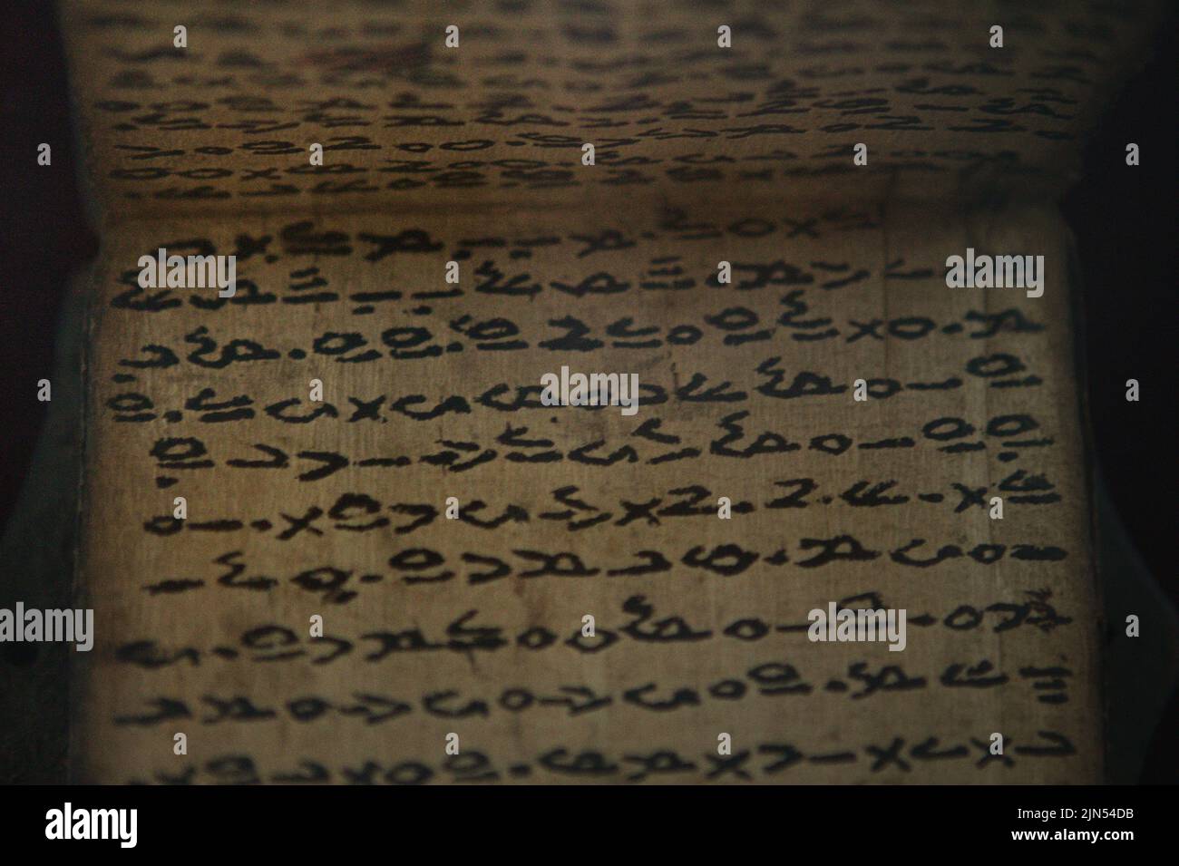 Cuneiforme scritto su corteccia di albero presso la Biblioteca Nazionale di Giacarta, Indonesia. Foto Stock