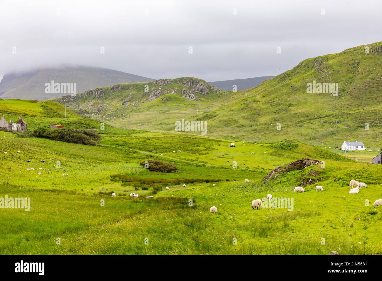 Isola di Skye paesaggio in estate, Duntulm frazione zona Trotternish, Scozia, Regno Unito Foto Stock