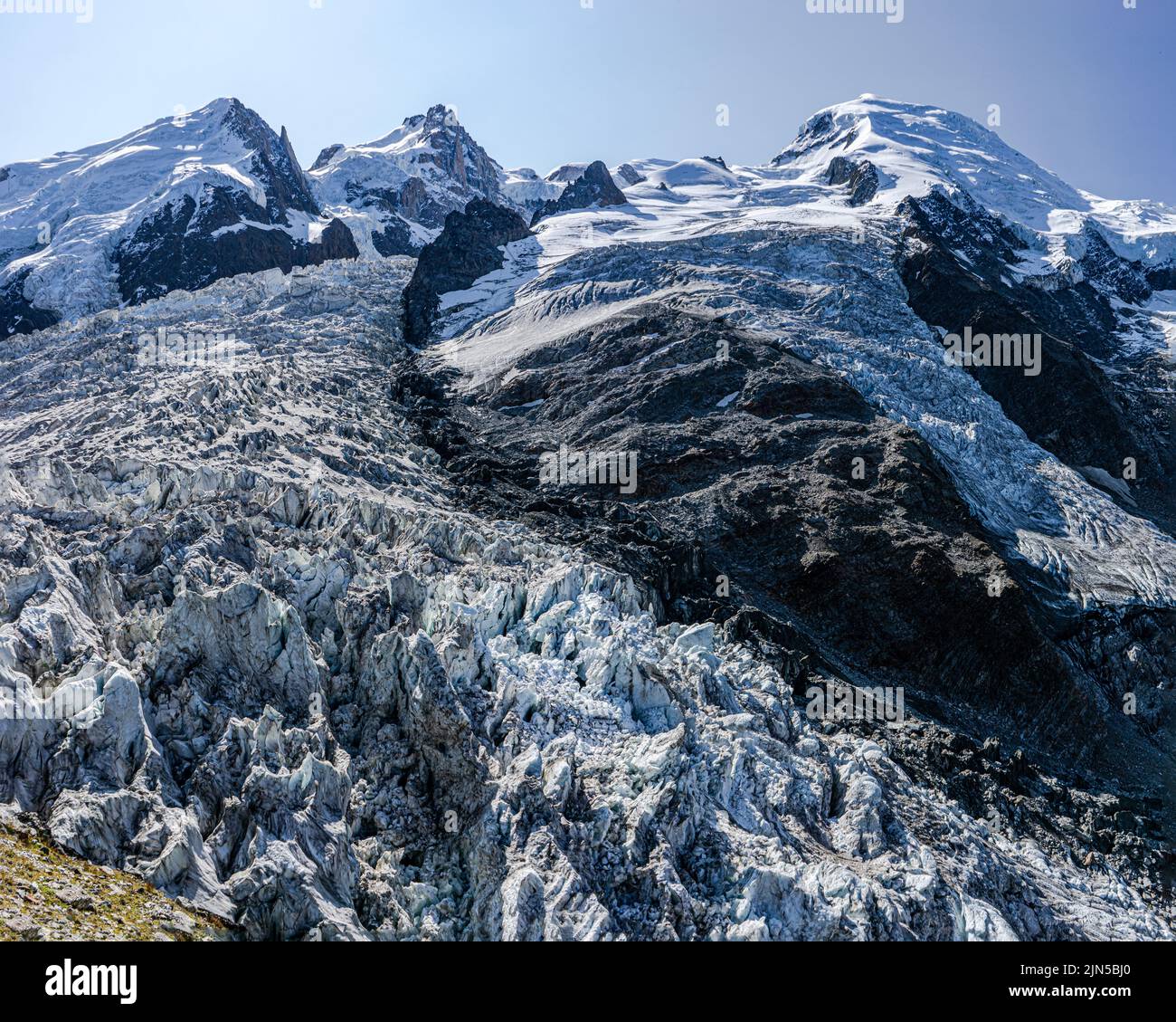 Bouquetin femelle sur le chemin vers le Mont-Blanc entre le refuge du nid d'aigle et le refuge de tête rousse. Foto Stock