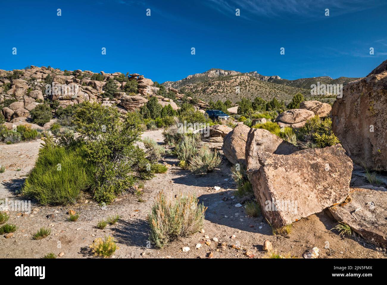 Sito di Petroglyph all'affioramento del tufo, Mt Irish in dist, Mt Irish Archaeological District, Western Locus, Basin and Range National Monument, Nevada, USA Foto Stock