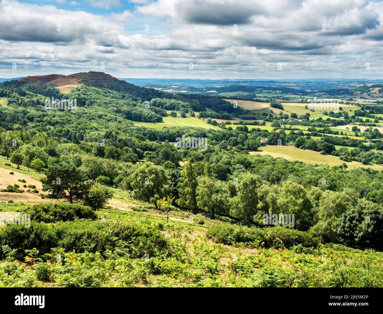 Guardando a sud da Black Hill a Herefordshire Beacon o British Camp nel Malvern Hills AONB Inghilterra Foto Stock