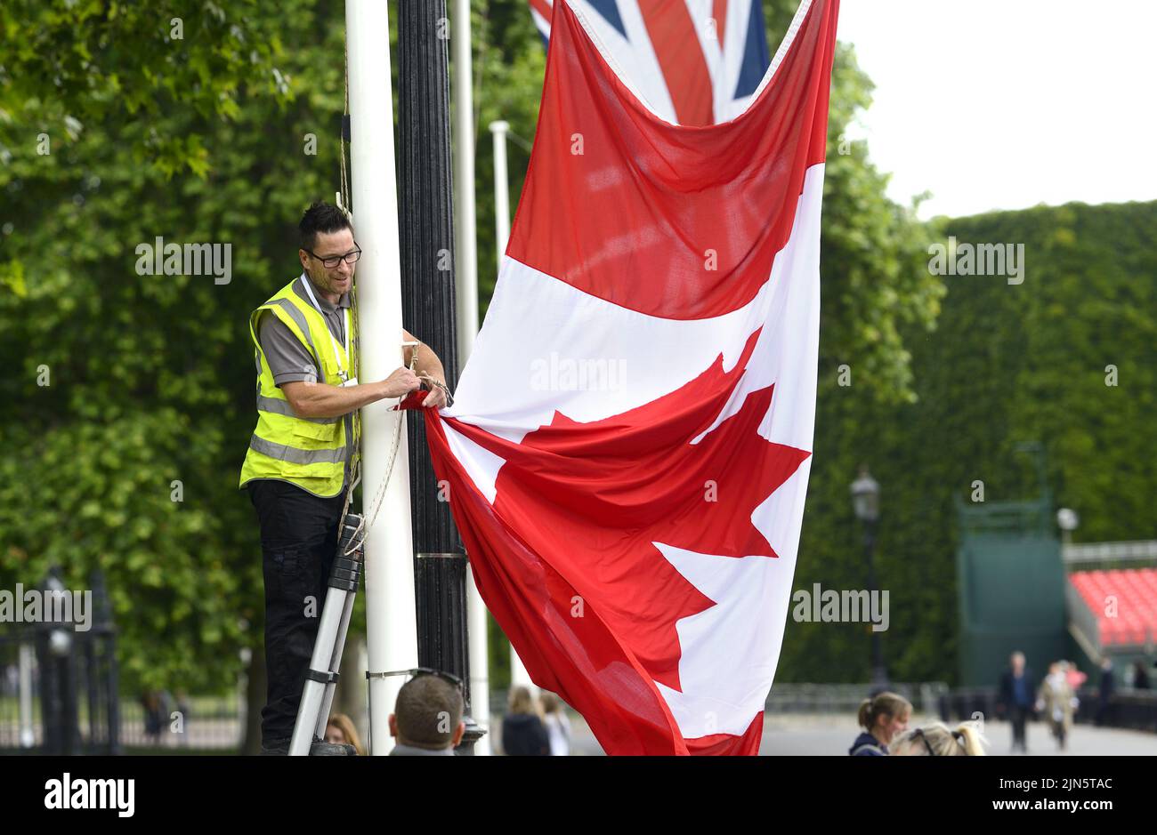 Londra, Inghilterra, Regno Unito. Uomo che mette su / abbattere una bandiera canadese in Horse Guards Road Foto Stock