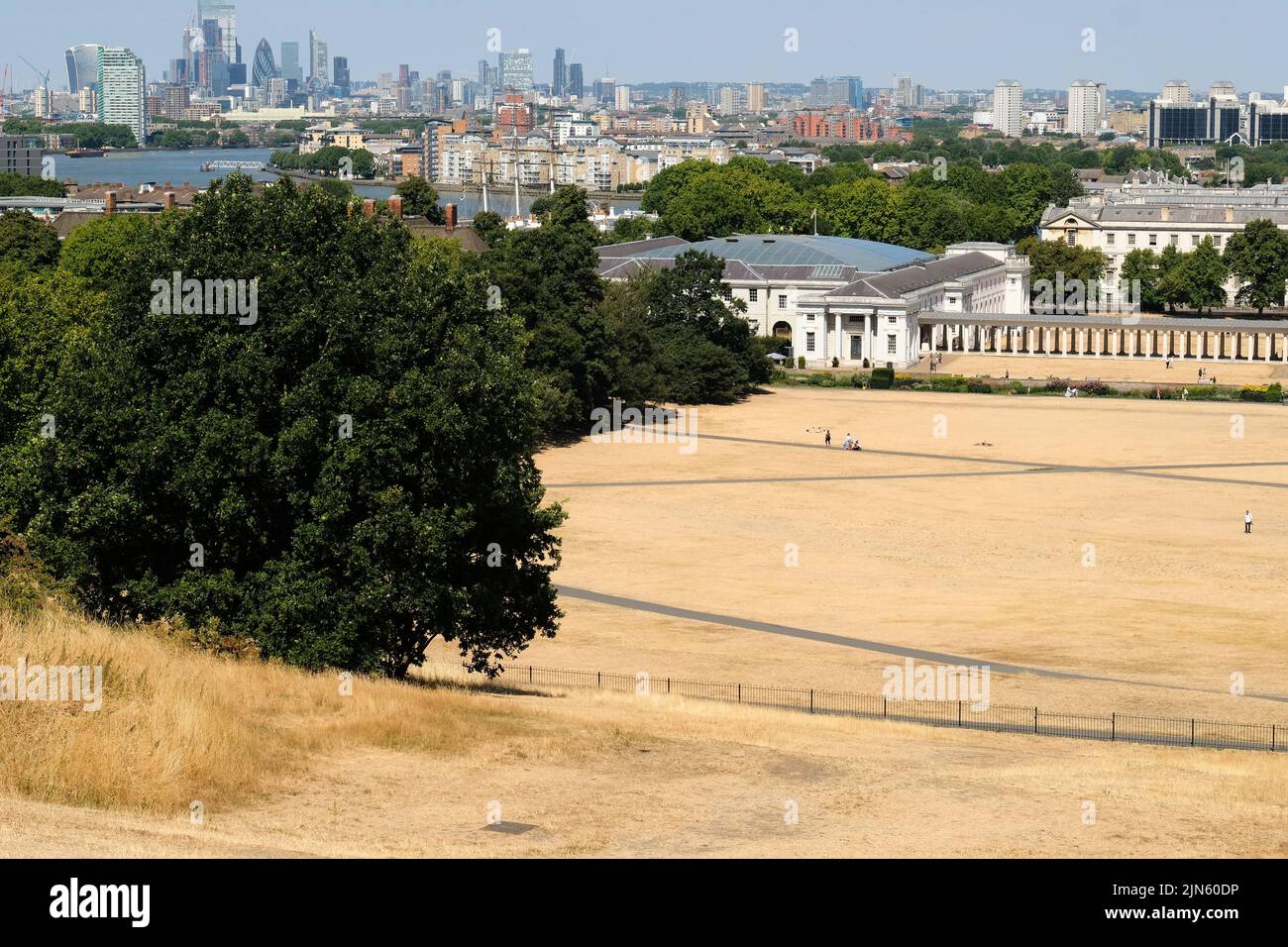 Greenwich Park, Londra, Regno Unito. 9th ago 2022. Avvertenze di siccità nel Regno Unito:: Erba pappata a Greenwich Park. Credit: Matthew Chattle/Alamy Live News Foto Stock