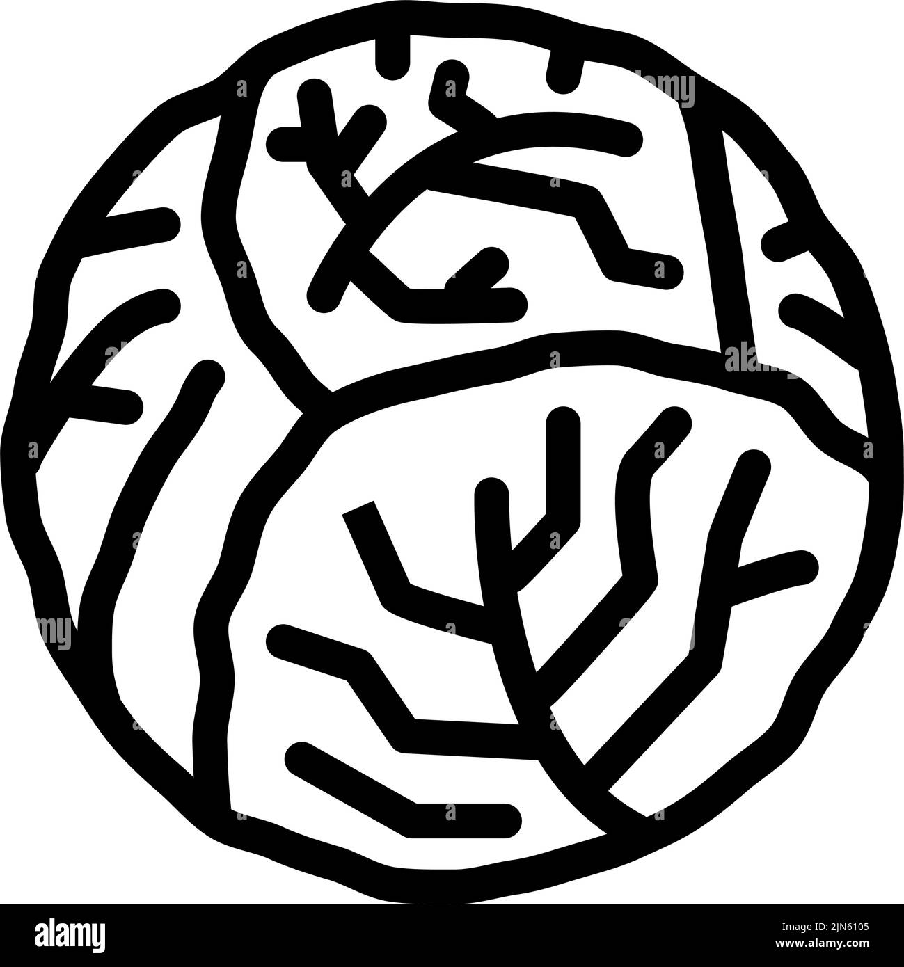 cabbage un'intera linea icona vettore illustrazione Illustrazione Vettoriale