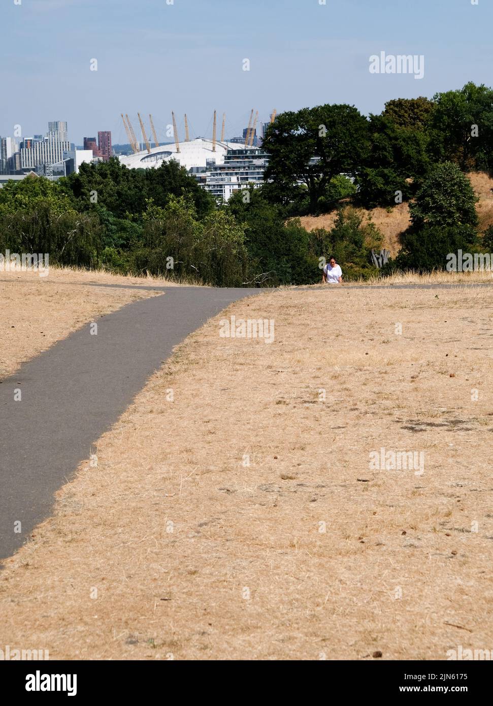 Greenwich Park, Londra, Regno Unito. 9th ago 2022. Avvertenze di siccità nel Regno Unito:: Erba pappata a Greenwich Park. Credit: Matthew Chattle/Alamy Live News Foto Stock