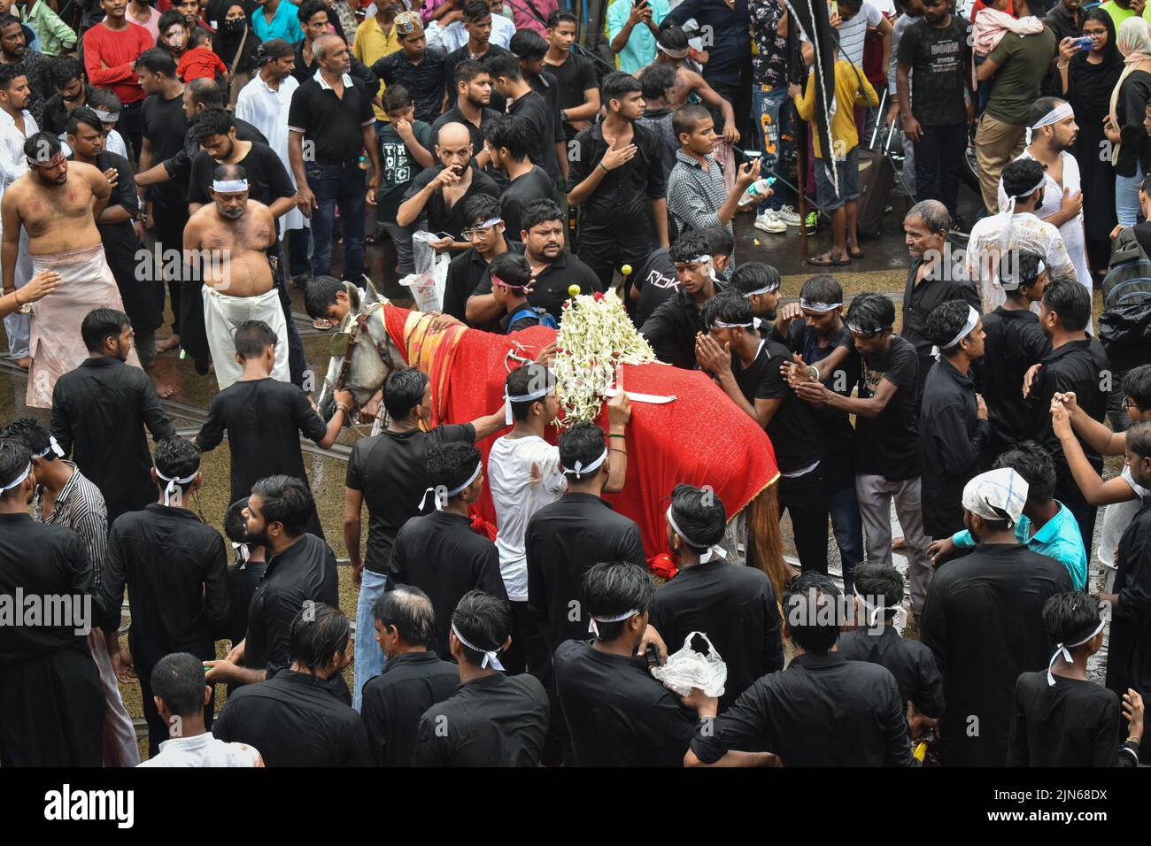 Kolkata, Bengala Occidentale, India. 9th ago 2022. I musulmani sciiti toccano un cavallo sacro simbolico per buona fortuna, durante una processione Muharram che segna Ashura a Kolkata. (Credit Image: © Sudipta Das/Pacific Press via ZUMA Press Wire) Foto Stock