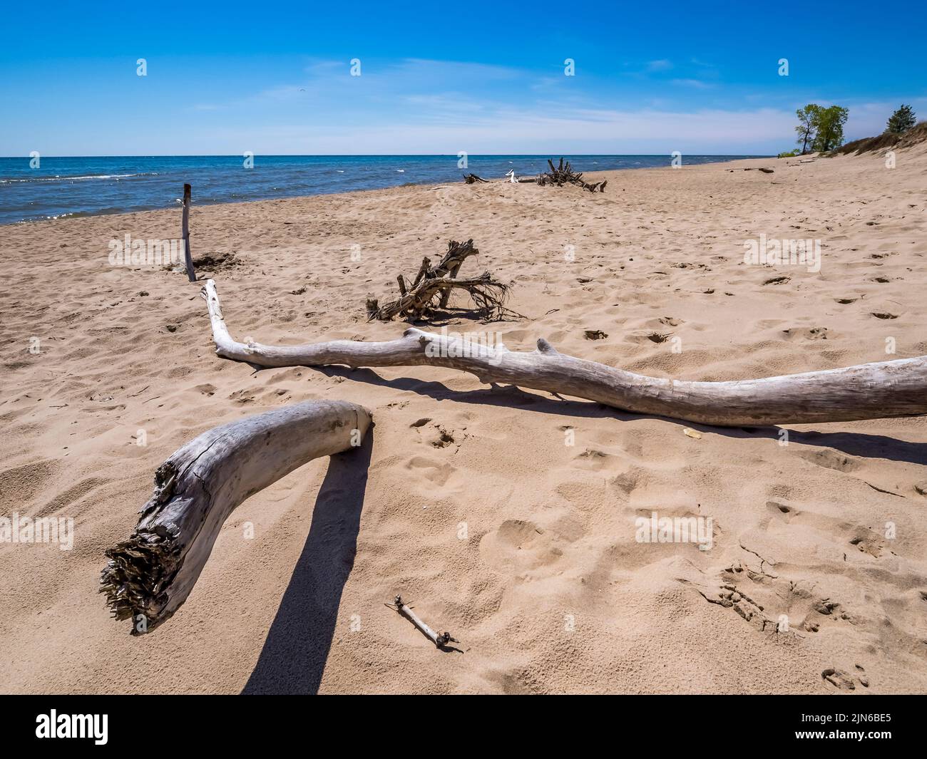 Spiaggia sul lago Michigan a Point Beach state Forest in Two Rivers, Wisconsin USA Foto Stock