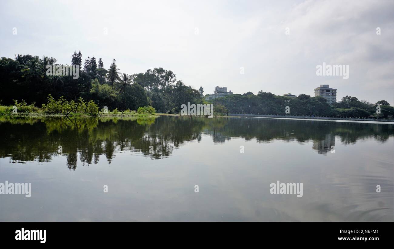 Splendida vista sul lago di Sankey Tank. Un lago artificiale costruito dal col. Richard Hieram Sankey per soddisfare le richieste di approvvigionamento idrico di Bangalore con Foto Stock