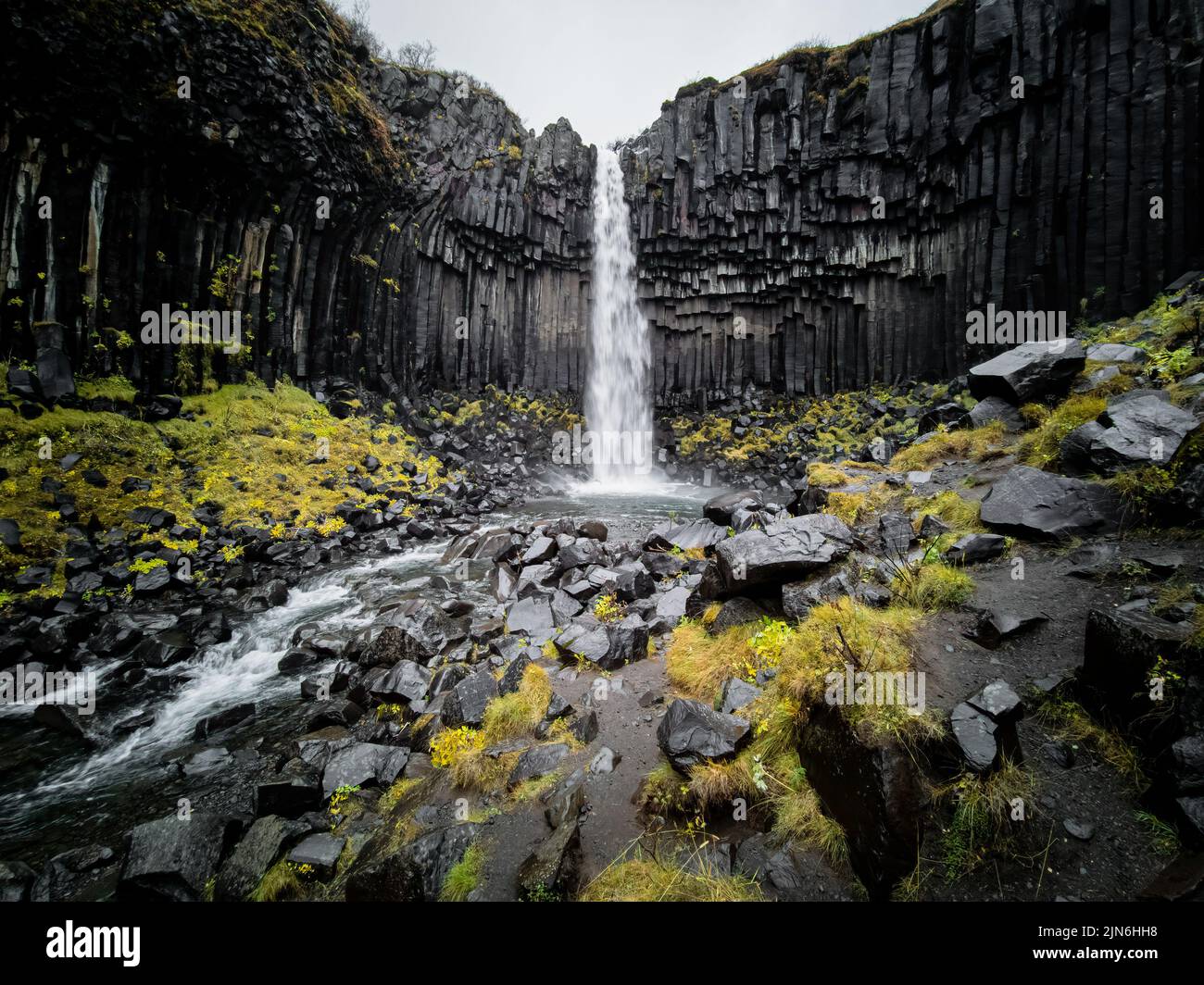 Cascata di Svartifoss in Skaftafell National Park vista dal basso Foto Stock