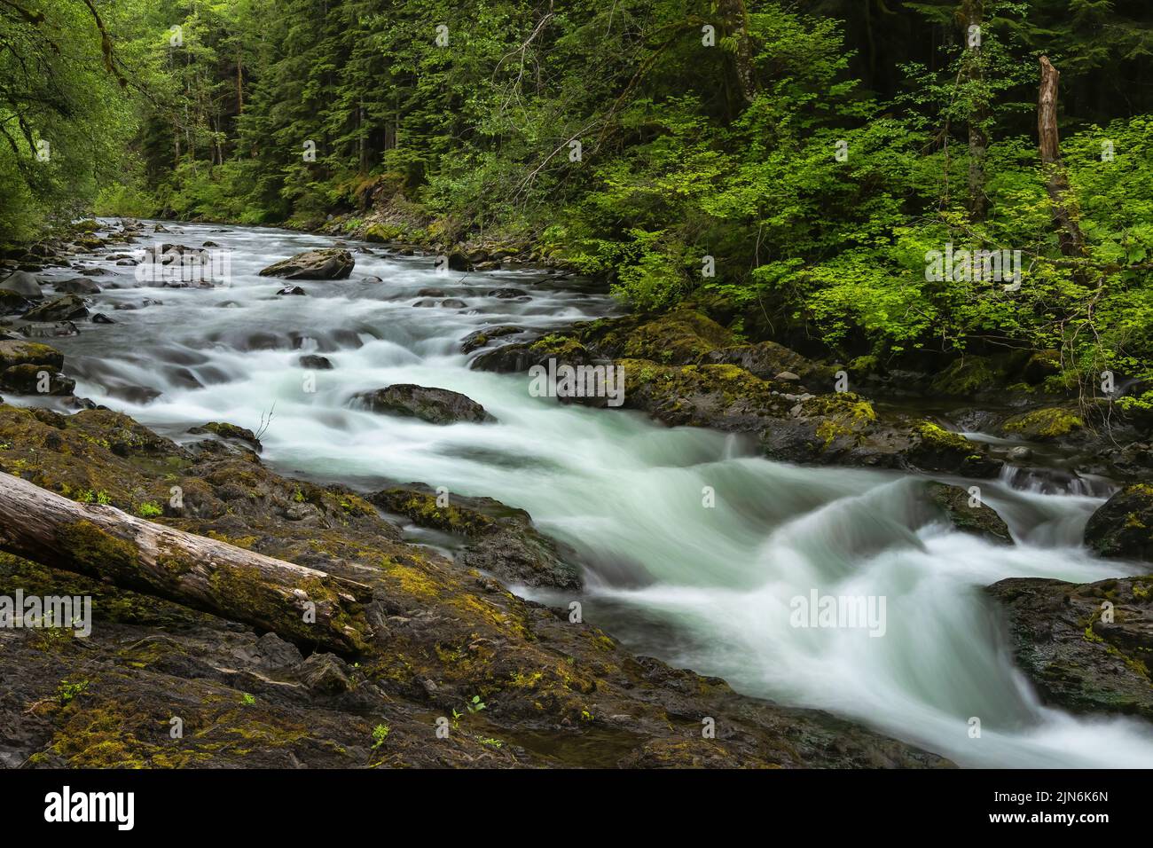 Lunga esposizione del fiume Sol Duc nella foresta nazionale olimpica di Washington. Foto Stock
