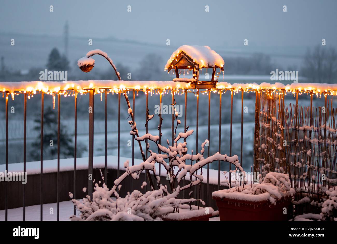 Vista sul piccolo giardino pensile con piante e birdhouse in legno coperto da luci di natale. Neve e clima freddo durante l'inverno. Concetto di ecologia Foto Stock