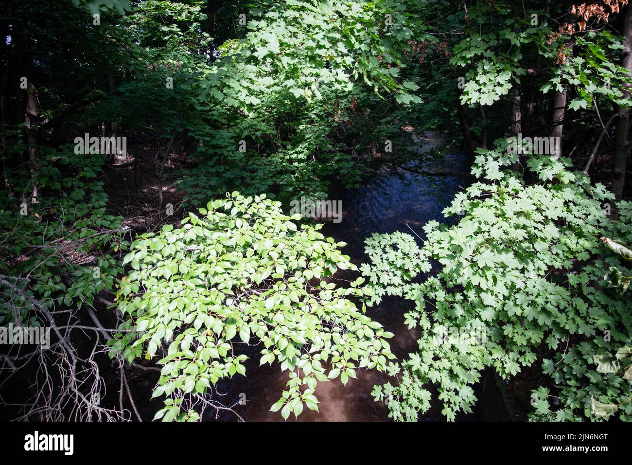 Newark, Stati Uniti. 09th ago 2022. Una pausa acquatica all'interno di un parco nella contea di Essex allagato strade e lasciato Newark, NJ residenti con bassa pressione dell'acqua il 9 agosto 2022, ha detto le autorità. ??la rottura si è verificata all'interno del Branch Brook Park in Mill Street a Belleville, NJ, influenzando la pressione dell'acqua nel vicino Newark e intrappolando almeno un veicolo, secondo i funzionari della città. La pausa ha colpito anche l'acqua a Belleville, Nutley e Bloomfield. (Foto di Karla Coté/Sipa USA) Credit: Sipa USA/Alamy Live News Foto Stock