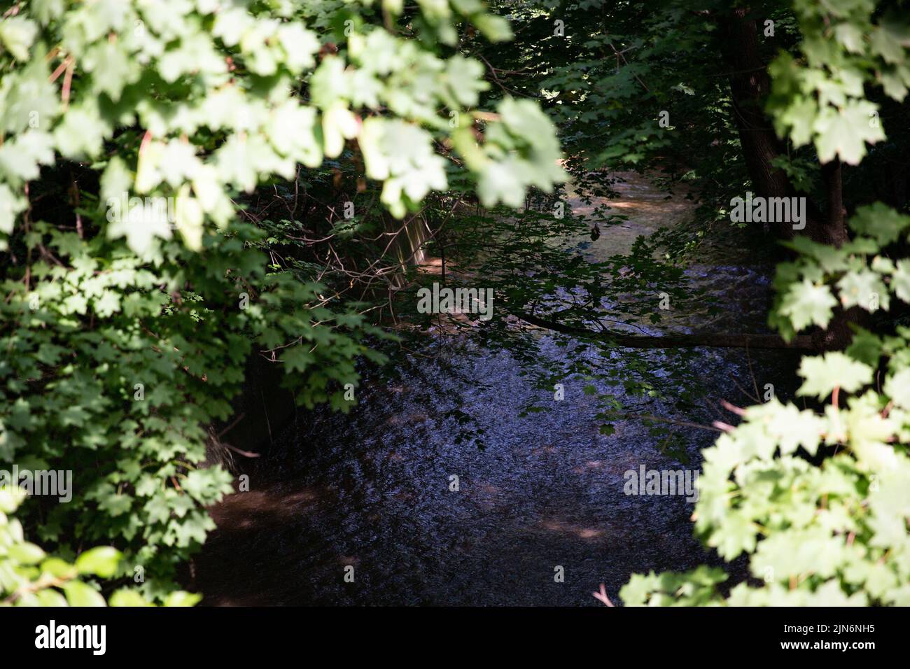Newark, Stati Uniti. 09th ago 2022. Una pausa acquatica all'interno di un parco nella contea di Essex allagato strade e lasciato Newark, NJ residenti con bassa pressione dell'acqua il 9 agosto 2022, ha detto le autorità. ??la rottura si è verificata all'interno del Branch Brook Park in Mill Street a Belleville, NJ, influenzando la pressione dell'acqua nel vicino Newark e intrappolando almeno un veicolo, secondo i funzionari della città. La pausa ha colpito anche l'acqua a Belleville, Nutley e Bloomfield. (Foto di Karla Coté/Sipa USA) Credit: Sipa USA/Alamy Live News Foto Stock