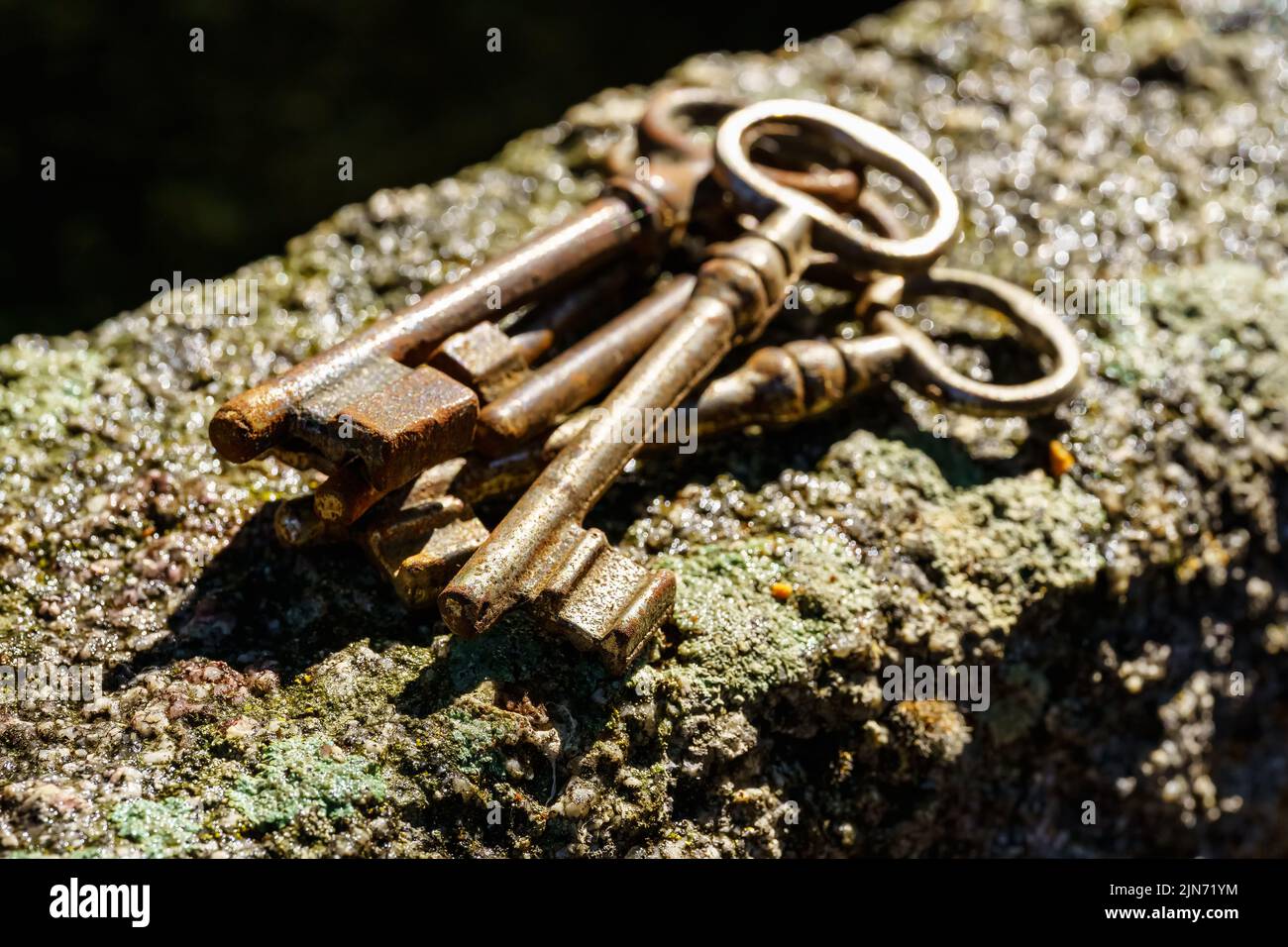 Gruppo di chiavi di ferro molto vecchie usate per le porte con serrature nei villaggi molti anni fa. Foto Stock